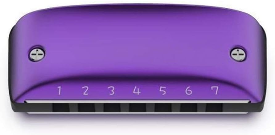 Harmonica 7 Hole Blues Harmonica Standard Minor Tuning Key of C D F G A Bb (Color : Minor Bb)