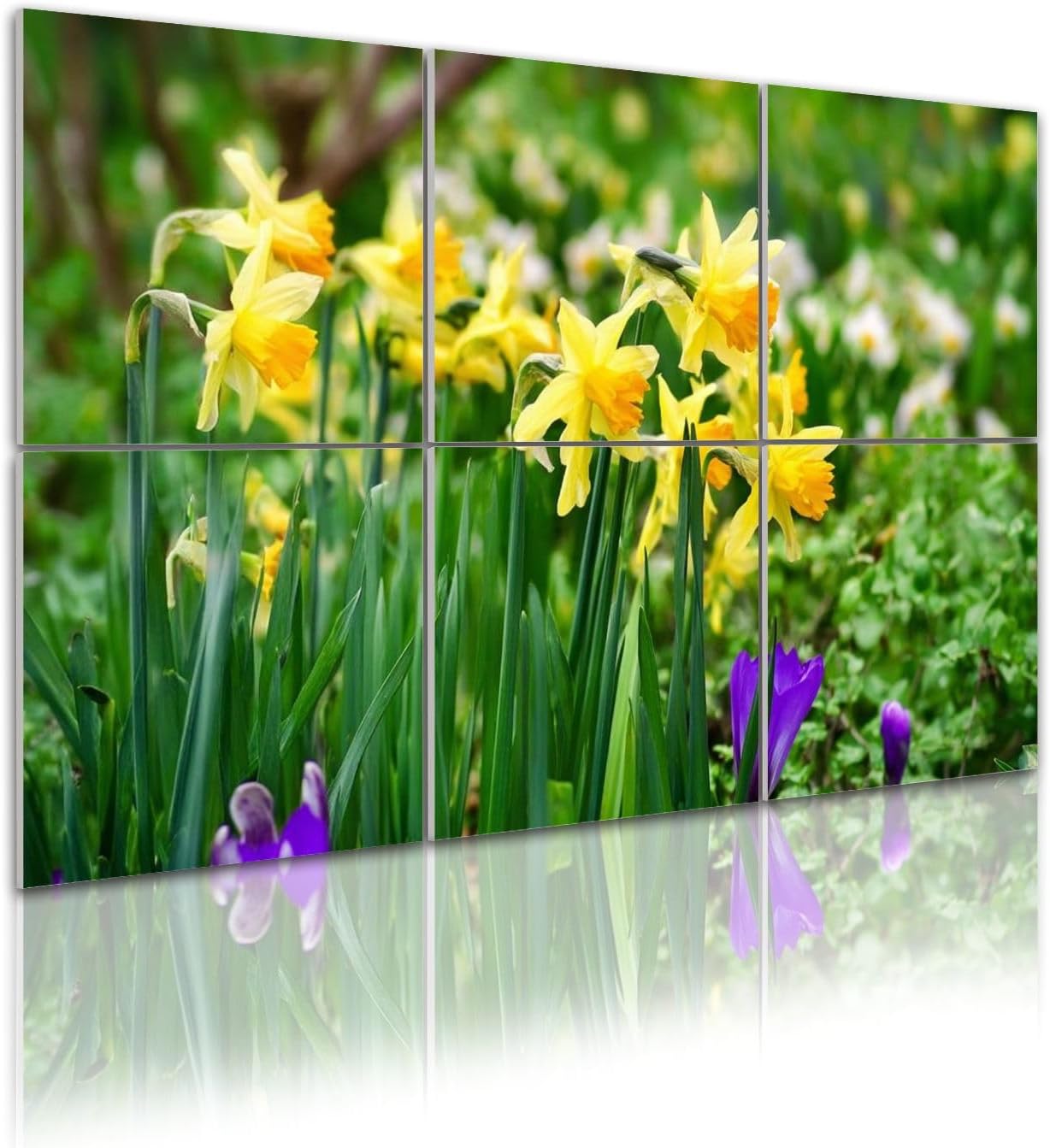 6 Pack Art Acoustic Panels Self Adhesive Springtime bunch wild yellow Daffodil Narcissus pseudonarcissus Decorative Soundproof Wall Panels Sound Absorbing Panel 48