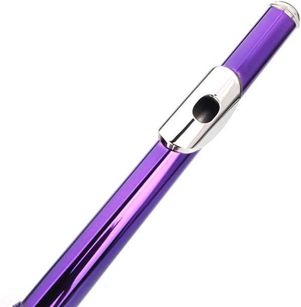 Nickel Plated Beginner Flute Concert Band with E Key, Case, Cleaning Kit, Kids Musical Instrument (Purple)
