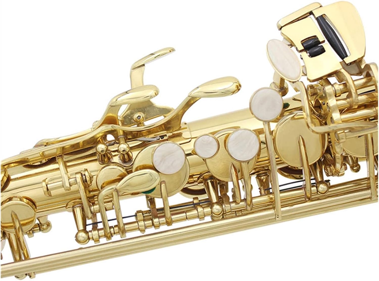 EB Alto Saxophone Brass Lacquered Gold Woodwind Instrument E Flat with Case
