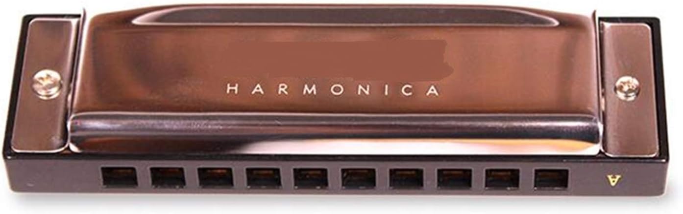 Harmonica 12Pcs/Set 10 Hole 20 Tone Harmonica Senior Diatonic Blues Harp A/B/C/D/E/F/G Key Mouth Organ Sliver