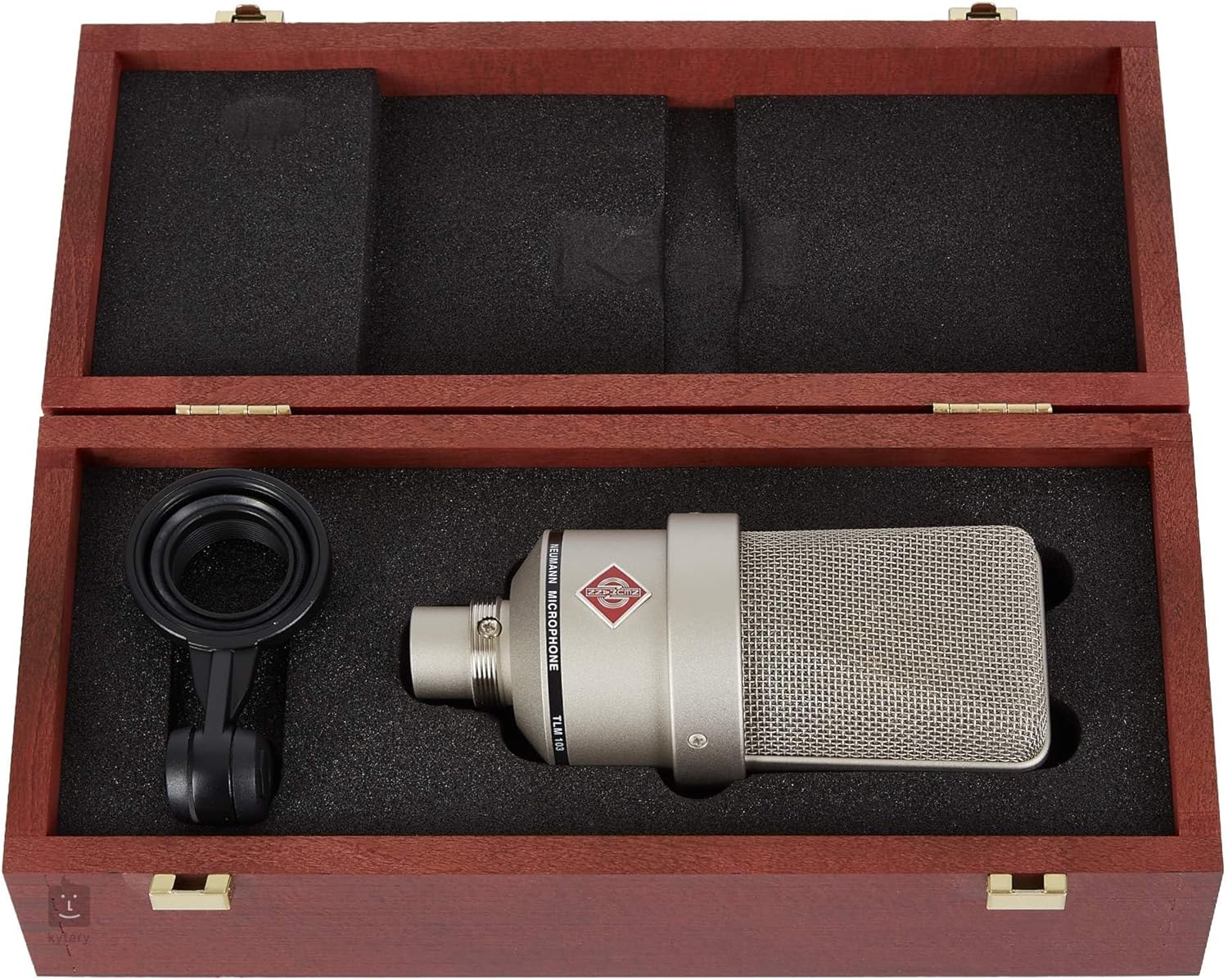 Neumann TLM 103 Large-Diaphragm Condenser Microphone for Studio Recording with On-Stage Stands MS7701B Mic Stand, Professional Grade XLR Cable and Microphone Pop Filter