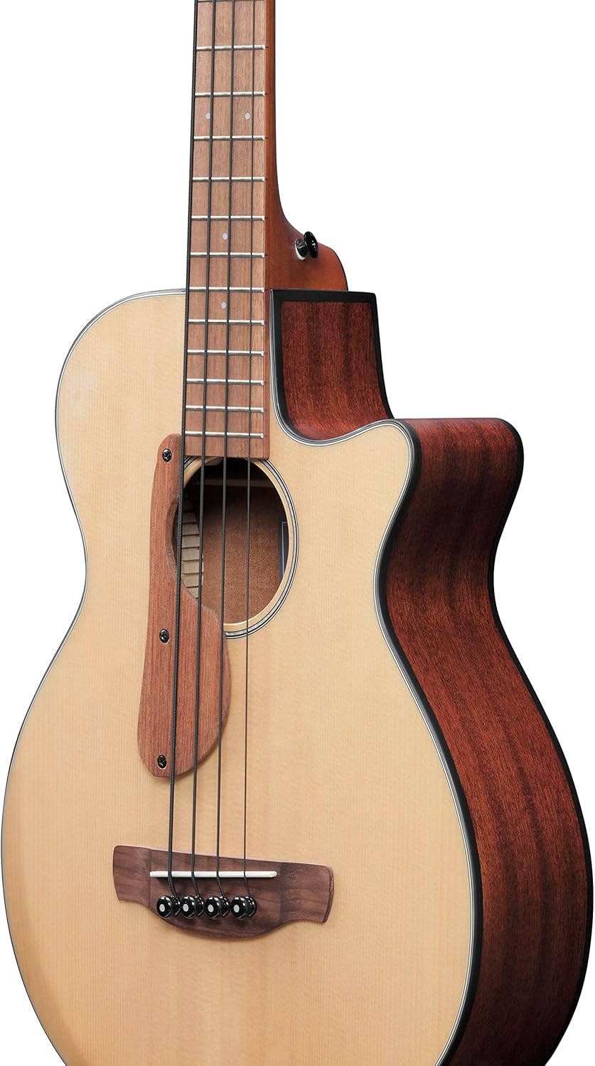 Ibanez AEGB30ENTG Acoustic-electric Bass - Natural