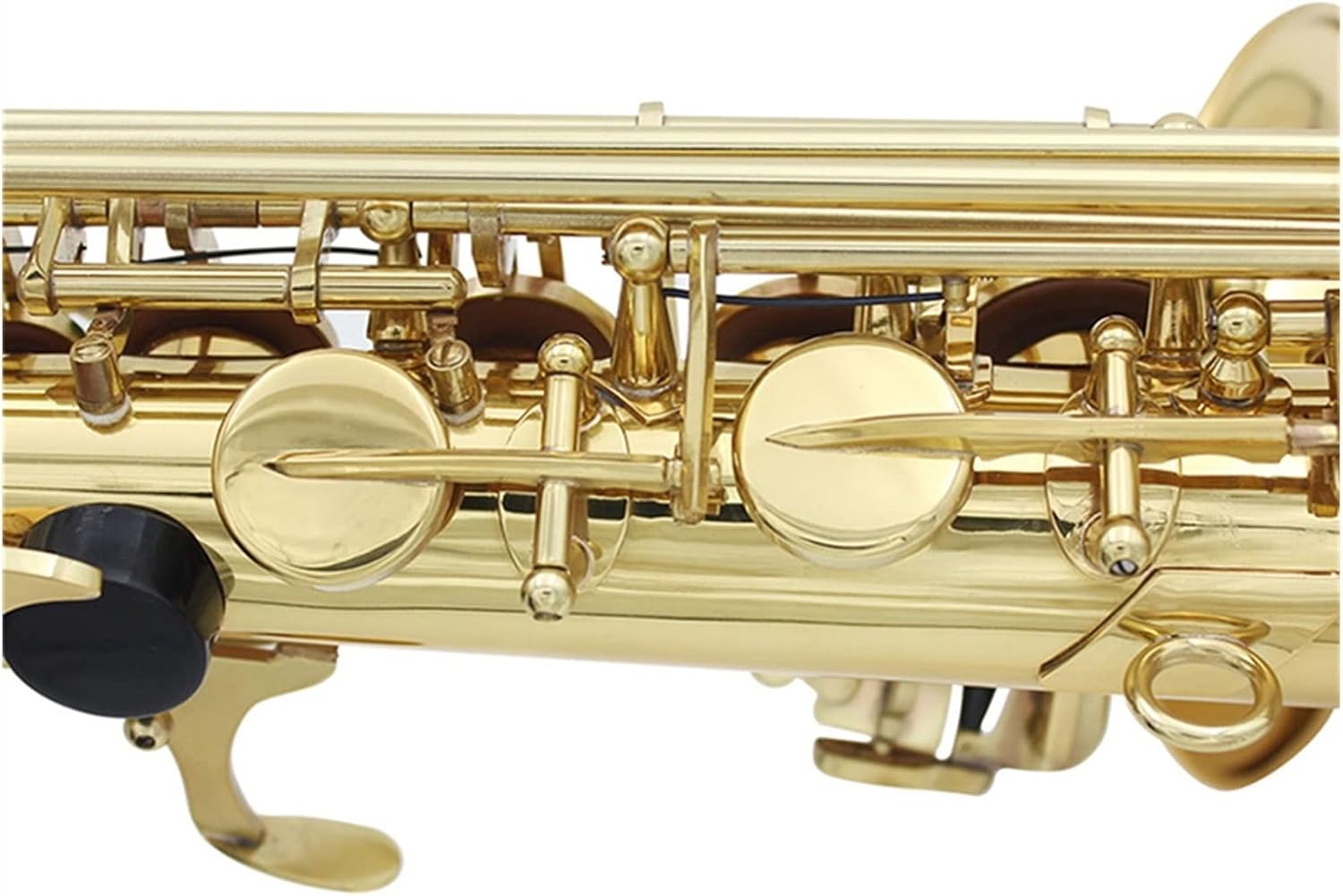 EB Alto Saxophone Brass Lacquered Gold Woodwind Instrument E Flat with Case