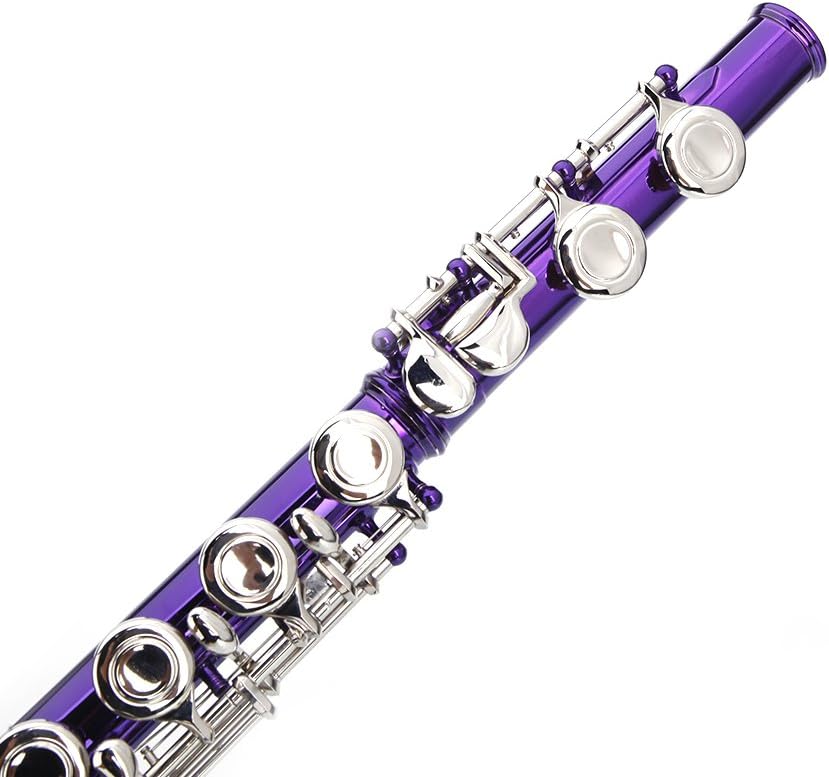 Nickel Plated Beginner Flute Concert Band with E Key, Case, Cleaning Kit, Kids Musical Instrument (Purple)