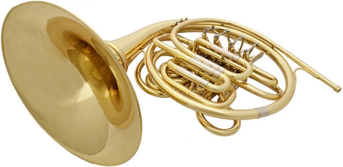 Beginner musical instrument gold lacquer double row french horn