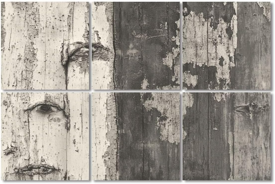 6 Pack Art Acoustic Panels Sound Absorbing Birch Tree Weathered Wood Human Face Peeling Paint Textural Organic Decorative Soundproof Wall Panels Self Adhesive for Recording Studios Office 72