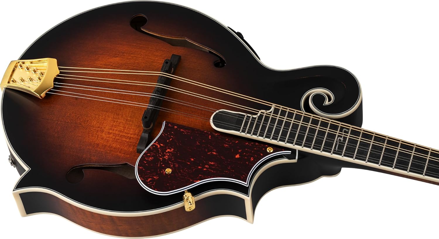 Ortega Guitars, 8-String F-Style Series All Solid Acoustic-Electric Mandolin w/Bag, Right, Gold (RMFE100AVO)