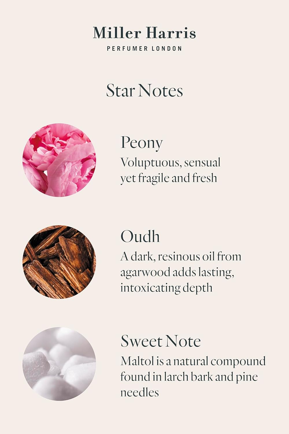 Miller Harris Scherzo Eau de Parfum | Floral, Oud, Sweet Perfume (3.4 fl oz)