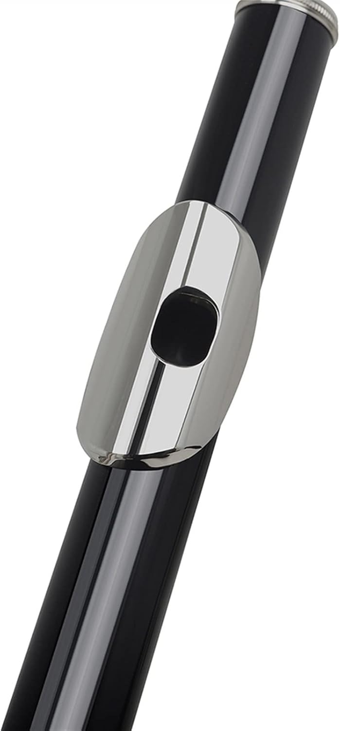 Flutes Silver Key Cupronickel Flute 16 Holes Closed Hole C Tone Black Flute Woodwind Instrument with Case