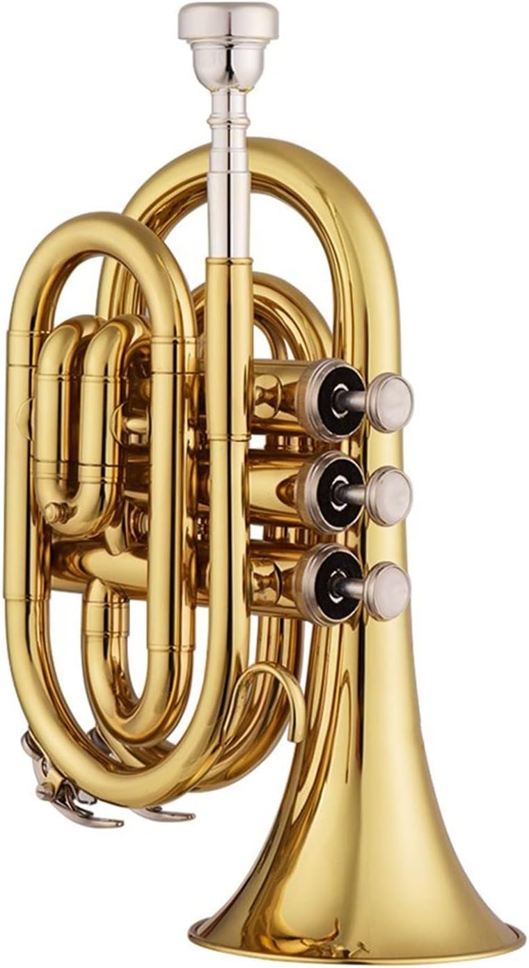 KESHUO Mini Pocket Trumpet Bb Flat Brass Material Wind Instrument with Mouthpiece Gloves Cleaning Cloth Carrying Case Trumpets (Color : 1)