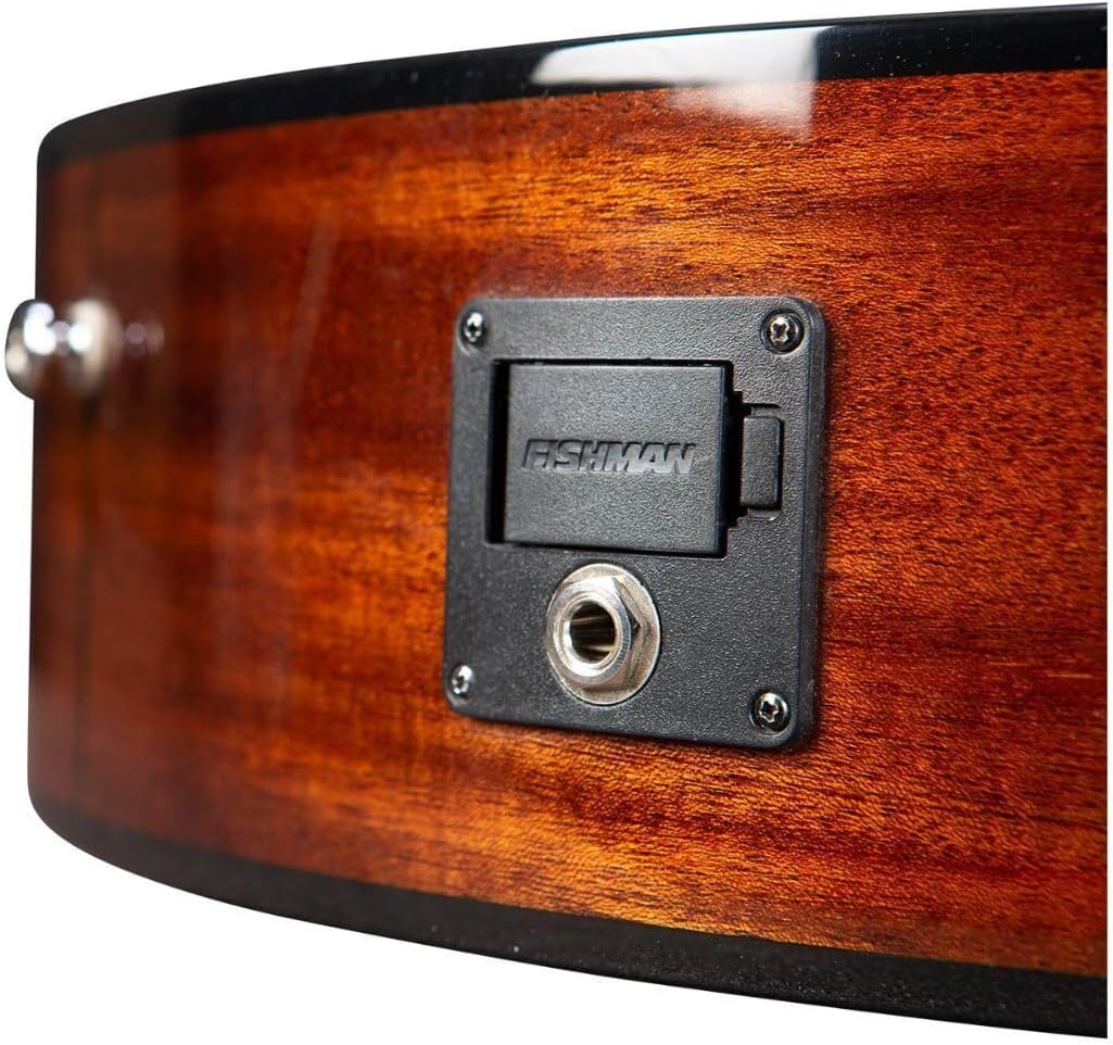 Breedlove ECO Discovery S Parlor Concertina CE Acoustic-Electric Guitar - Edgeburst Red Cedar/African Mahogany