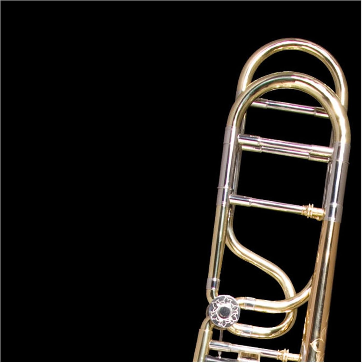 Trombone instrument tenor brass instrument B flat