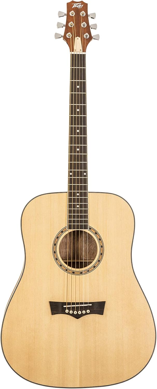 Peavey Delta Woods DW-1 Acoustic Guitar