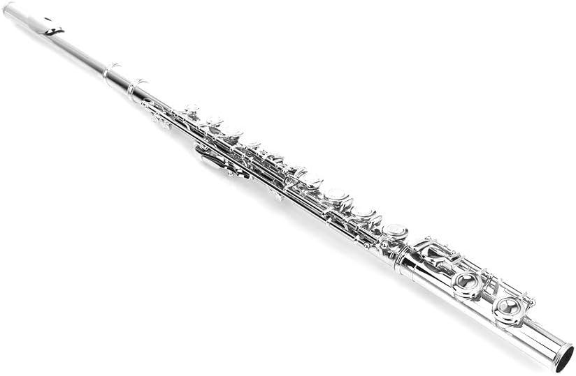 Closed Hole Flutes C 16 Key with E Key kit for Beginner, Kids, Student,Cupronickel Flute with Joint Grease,Cleaning Rod, Carrying Case