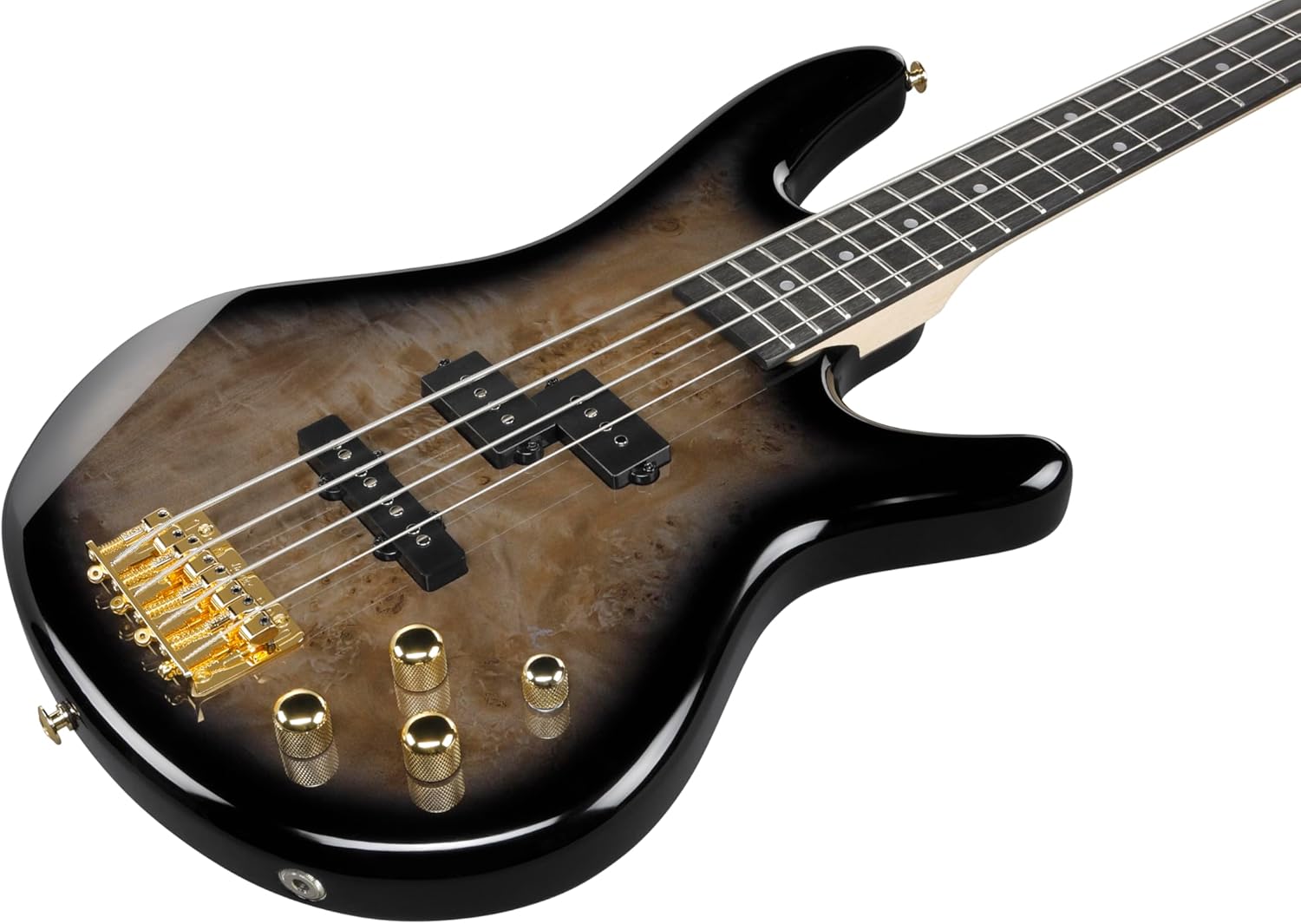 Ibanez Gio GSR200PC 4-String Right-Handed Electric Bass Guitar with Okoume Body, Maple Neck, and Purpleheart Fretboard (Transparent Pale Black Burst)