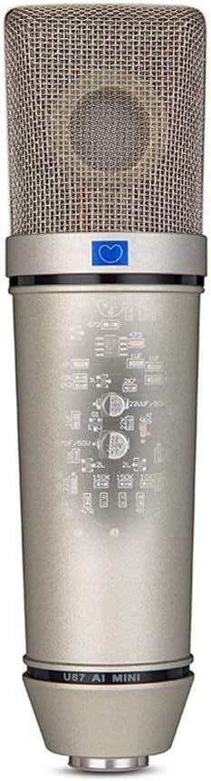 Microphone Kit Studio Condenser Microphone for Computer Karaoke Recording Kit Live Microphone, Default