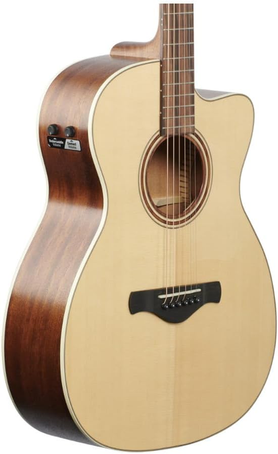 Ibanez ACFS300CE Acoustic-Electric Guitar - Open Pore Semi-Gloss