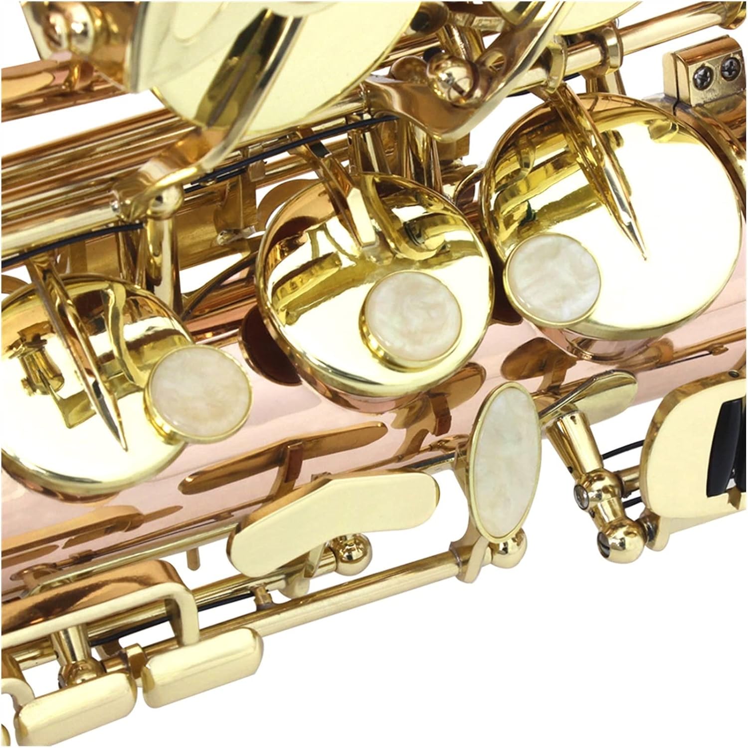 EB Alto Saxophone Phosphor Bronze Material E Flat Sax Woodwind Instrument Saxophone with Case Beginner Saxophone