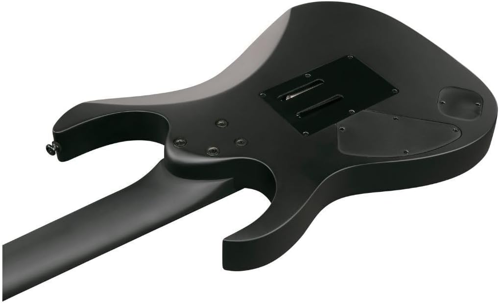 Ibanez RGRB720 Iron Label 7-String Right-Handed Electric Guitar with Nyatoh Body, Maple Neck, and Ebony Fingerboard (Black Flat)