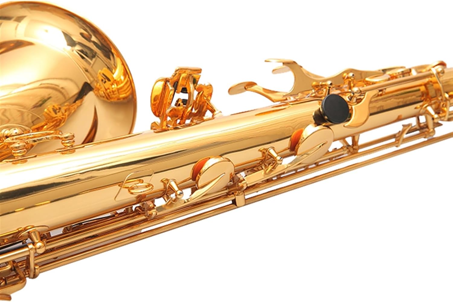 Examination Of Saxophone In B Flat, Tenor Saxophone And Wind Instrument For Beginners To Play Professionally