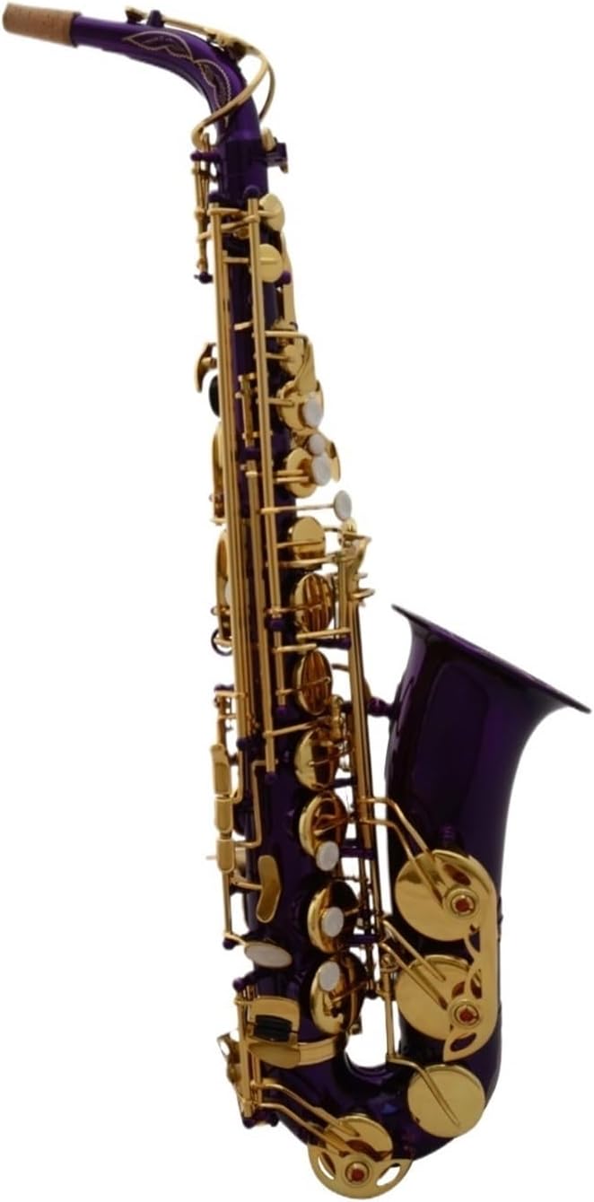 Saxophone for Beginners Saxophone Instrument Purple E Flat Alto Saxophone Professional Saxophone Woodwind Instrument