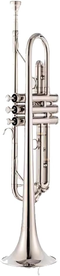 Lacquer Gold B-Flat Trumpet, Brass Beginner Wind Instruments for Adults, Western Instruments, Festival Band Celebration Instruments