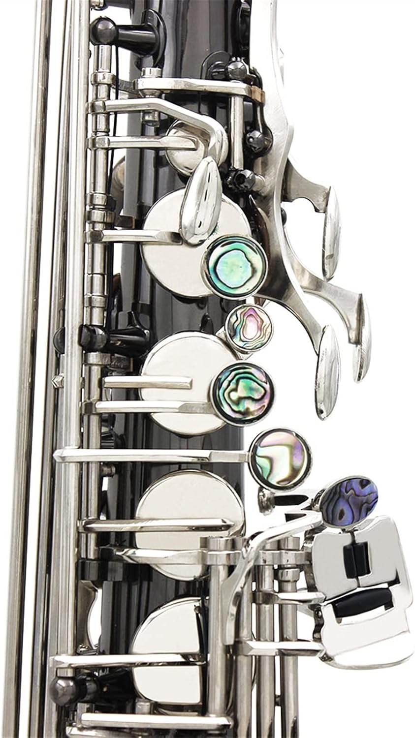 Sassofono Contralto Sax ottone lucido inciso EB e- Flat pulsante conchiglia strumento a fiato con custodia guanti silenziosi Cintura Student Saxophone