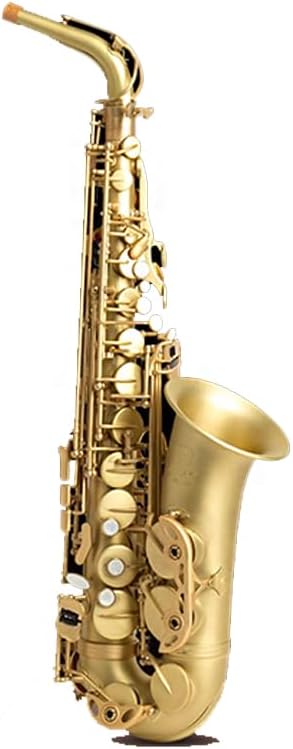 Saxophone, Beginners E-Flat, Alto Saxophone, Beginner/Professional/Performance/Examination, Including Instrument Storage Bag