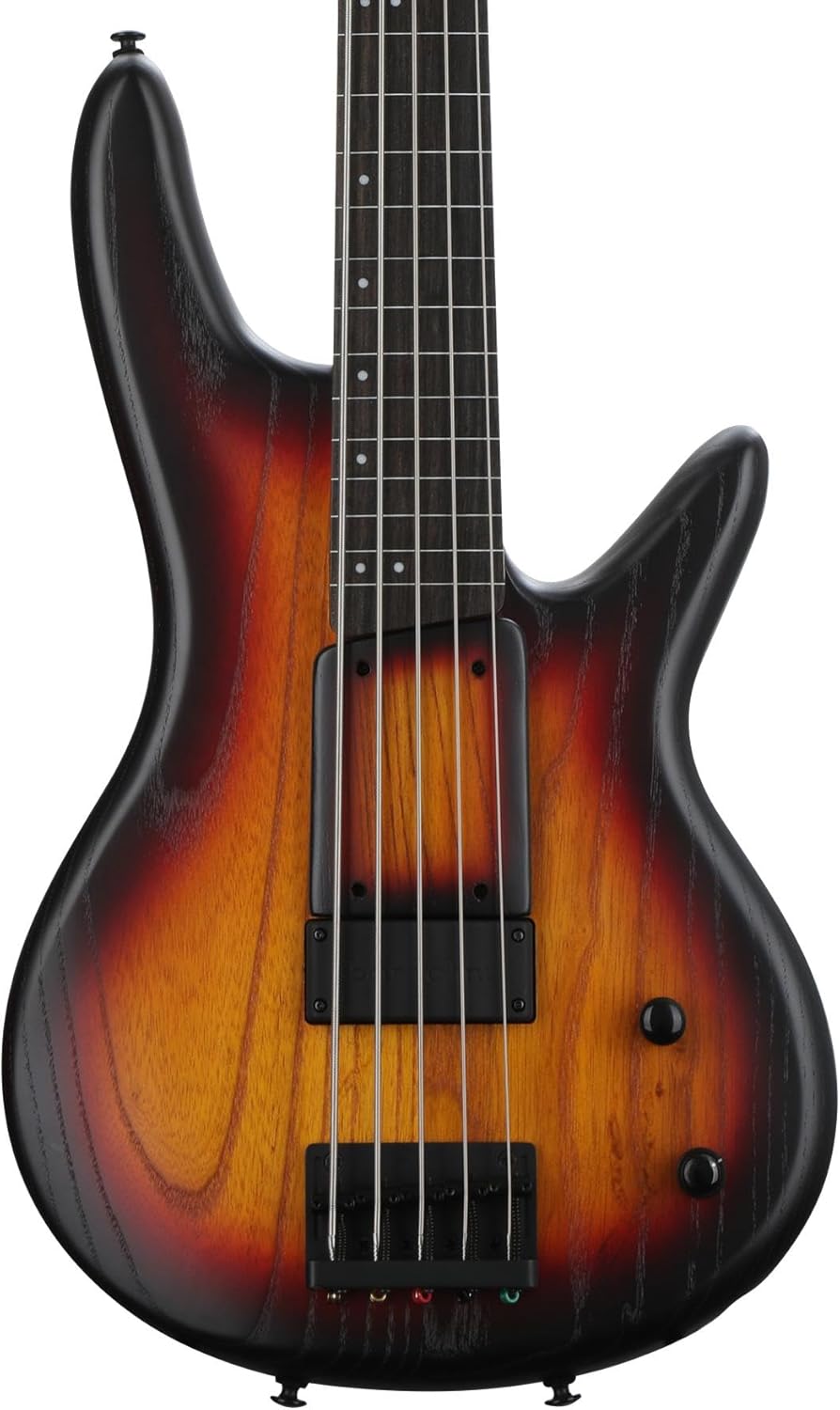Ibanez Gary Willis Signature GWB205 Fretless Bass Guitar - Tequila Sunrise Flat