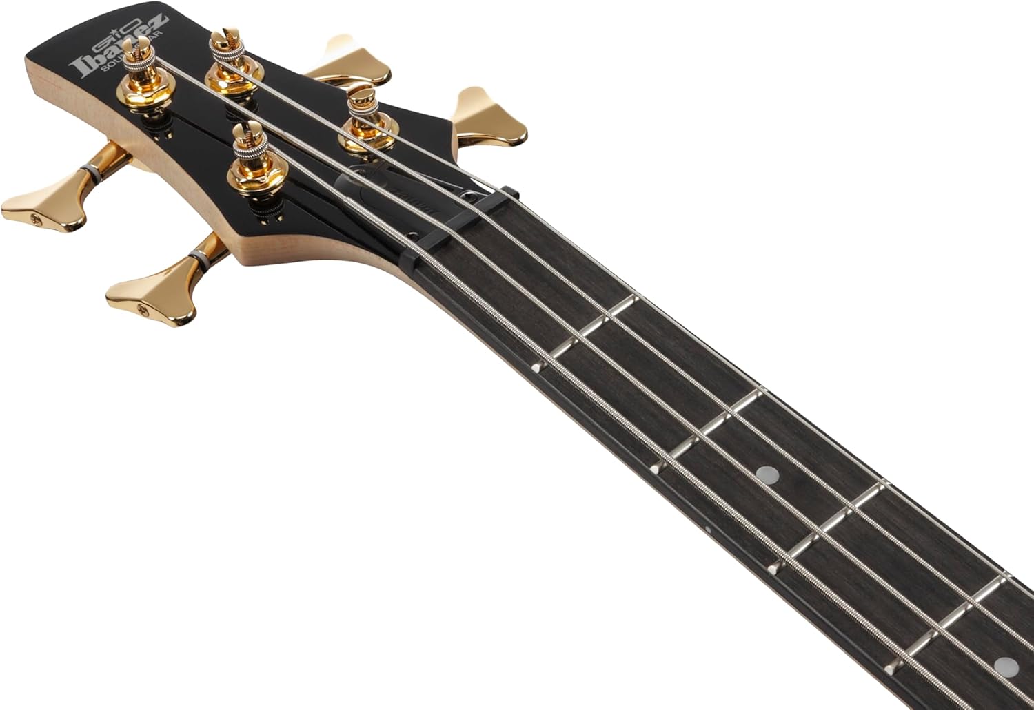Ibanez Gio GSR200PC 4-String Right-Handed Electric Bass Guitar with Okoume Body, Maple Neck, and Purpleheart Fretboard (Transparent Pale Black Burst)