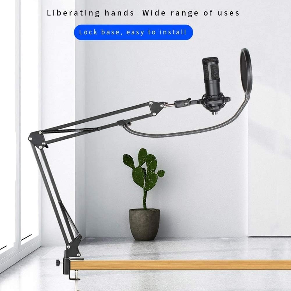 Live Microphone Accessory,Effects V8 Soundcard Combo,DJ Mixer with 12 Background Sounds,2-Channel Audio Interface,Double Pop Filter for Lab Recording And Broadcasting