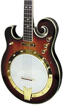 Gold Tone 5-String Electric Banjo - Left Handed