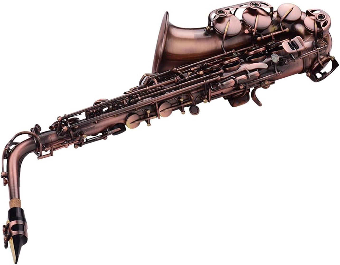 EB Alto Saxophone E-Flat Sax Carved Pattern Woodwind Instrument with Carry Case Brush Sax Accessories