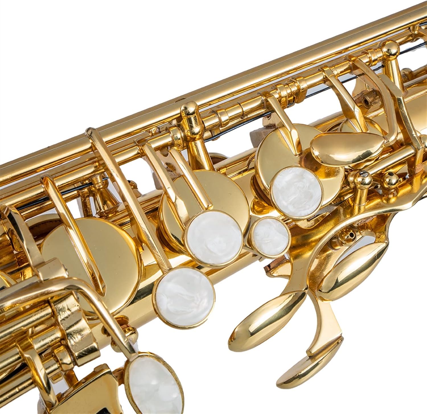 Alto Saxophone E Flat Gold Lacquer Saxophone Cleaning Cloth Mouthpiece Cork Grease Reeds Gloves Carry Case New Student Saxophone