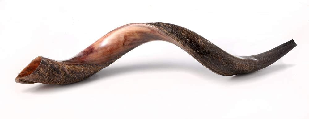 Yaliland Kosher Kudu Shofar Horn Set - Authentic & Revered Ceremonial Instrument (36-38