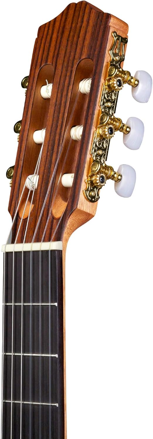 Cordoba C1M Classical Acoustic Nylon String Guitar, Protégé Series