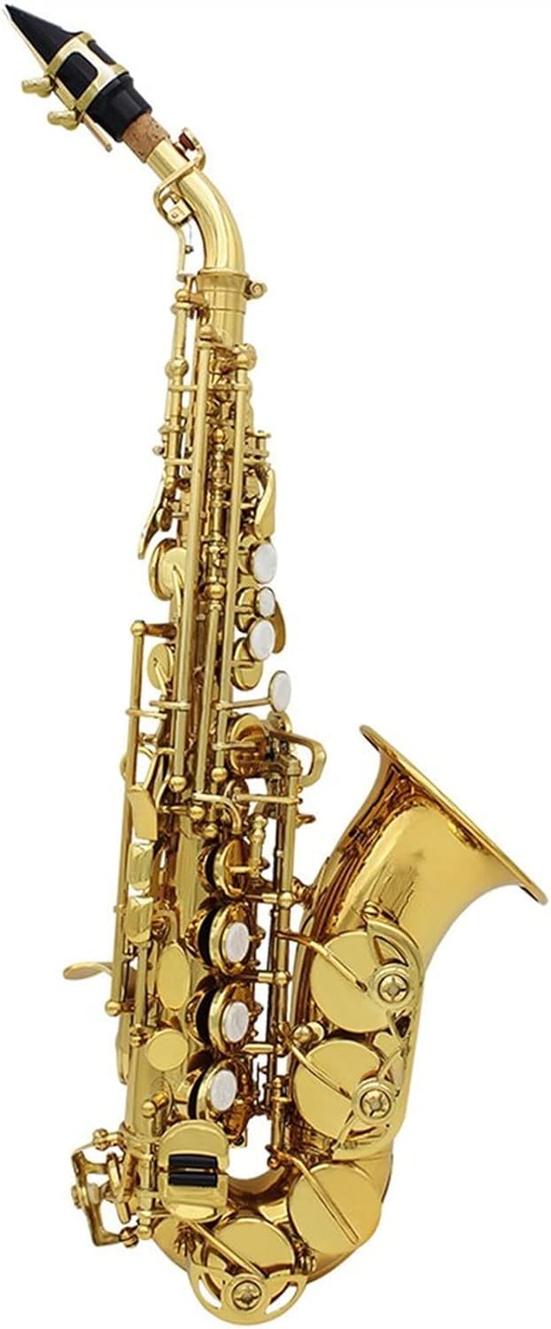 KESHUO Saxophone Brass Golden Carve Pattern Sax Pearl White Shell Buttons Mouthpiece Reeds Neck Wind Instrument Accessories Brass Sax Beginners Kit