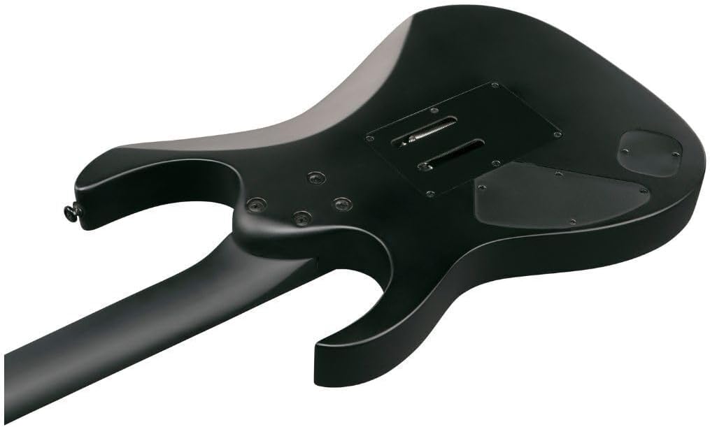 Ibanez RGRB620 Iron Label 6-String Right-Handed Electric Guitar with Nyatoh Body, Maple and Walnut Neck, and Ebony Fingerboard (Black Flat)