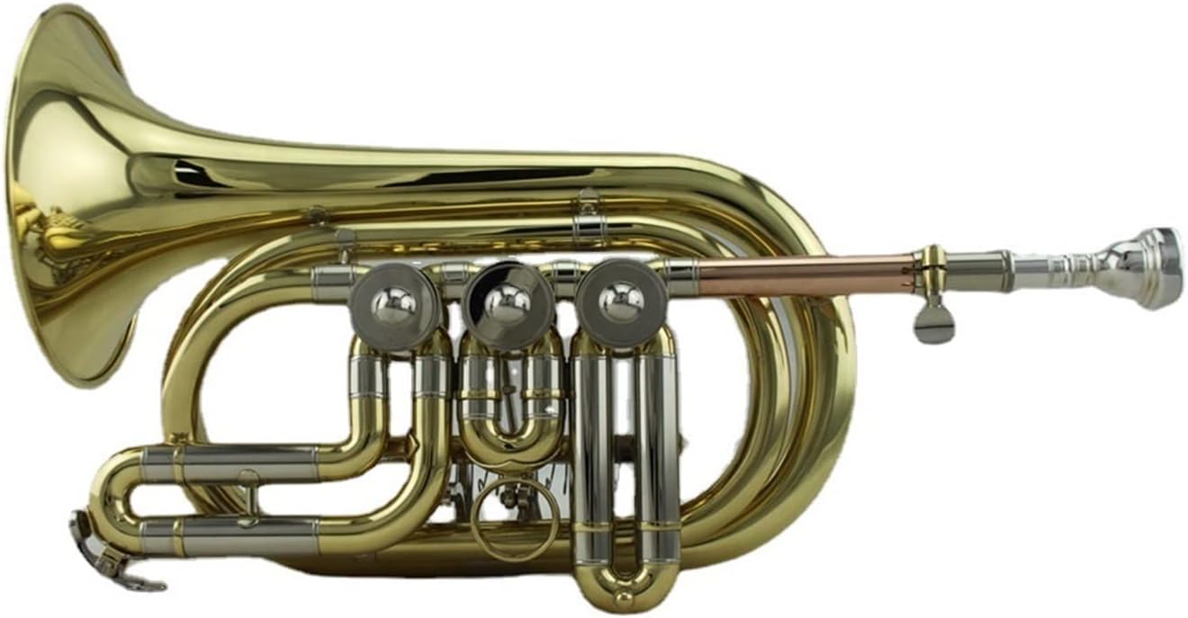 Standard Trumpet Set Brass Tube Body Lacquered Gold B-Flat Brass Wind Instrument Rotary Valve Trumpet Palm Horn Cornet