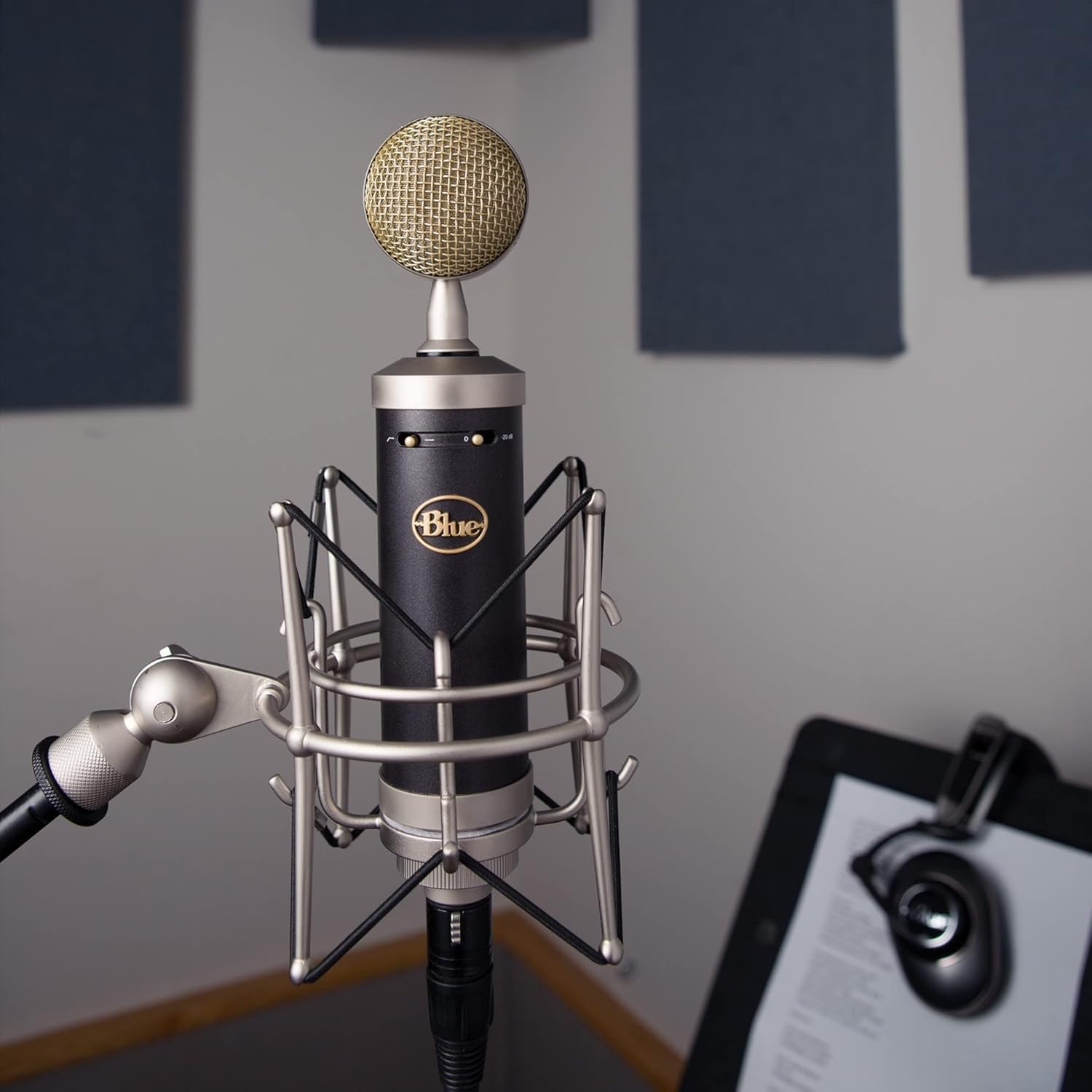 Blue Microphones Baby Bottle SL Large-Diaphragm Condenser Microphone (Renewed)