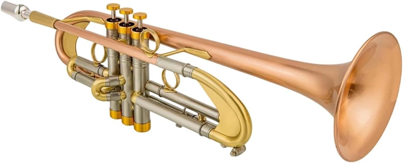 Trumpet Brass Set Bb Trumpet Phosphor Bronze Plated Professional Brass Instrument With Box