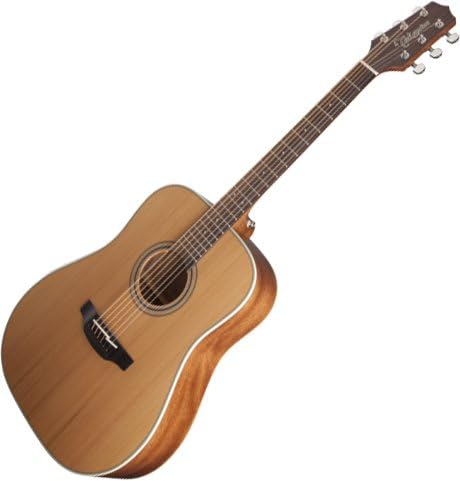 Takamine GD20-NS Satin Natural Acoustic Guitar Dreadnought Spruce Top with Bag