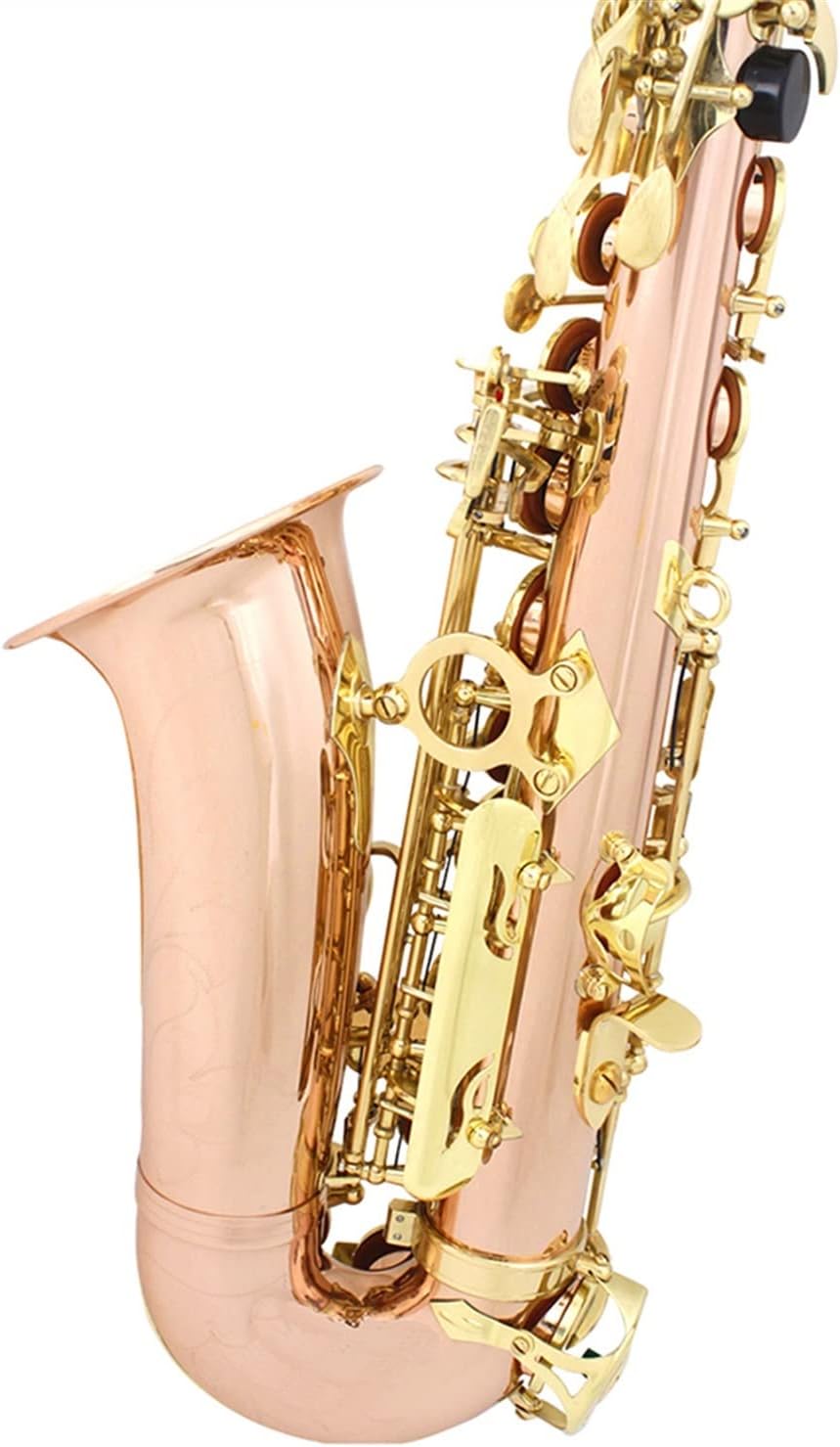 EB Alto Saxophone Phosphor Bronze Material E Flat Sax Woodwind Instrument with Case Gloves Reeds Strap