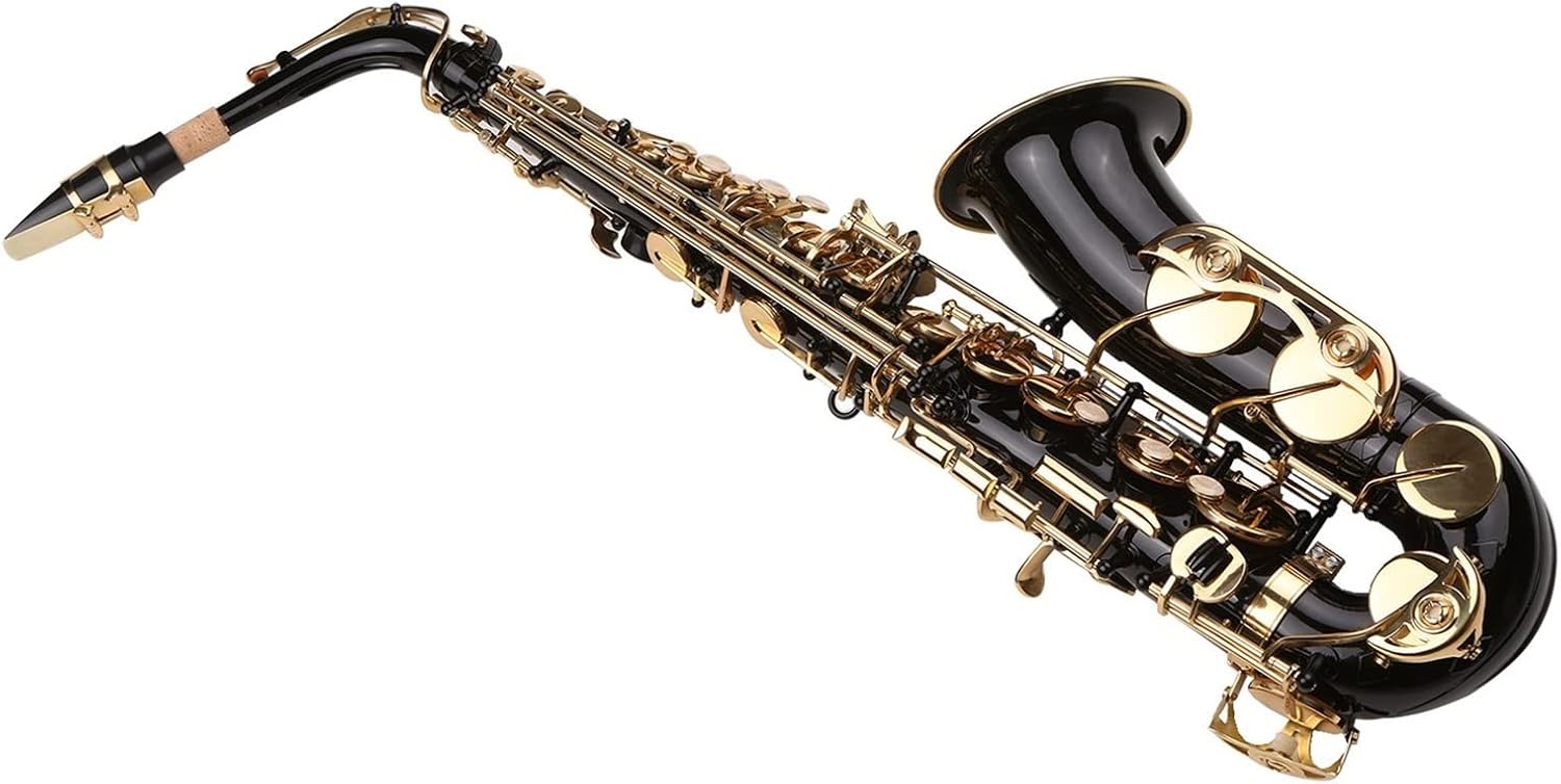 E-Flat Saxophone Brass EB Alto Sax Paint Gold Lacquer Woodwind Instruments with Case Accessories