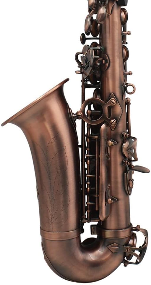 Professional EB Alto Saxophone Brass E Flat Sax Musical Woodwind Instrument with Accessories