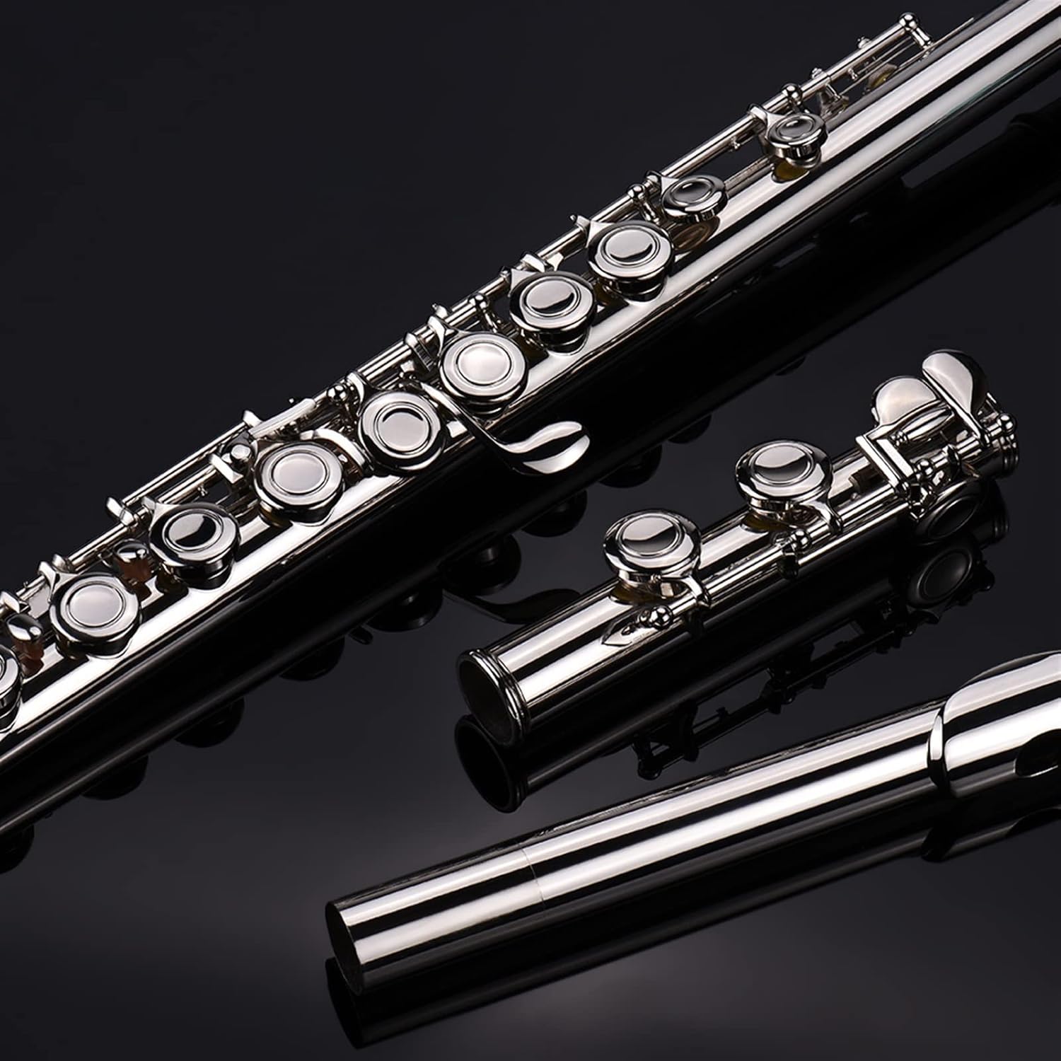 TSTS Flutes Musical Instrument 16 Holes C Key Flute Silver Plated Cupronickel Woodwind Instrument with Gloves Case Accessories