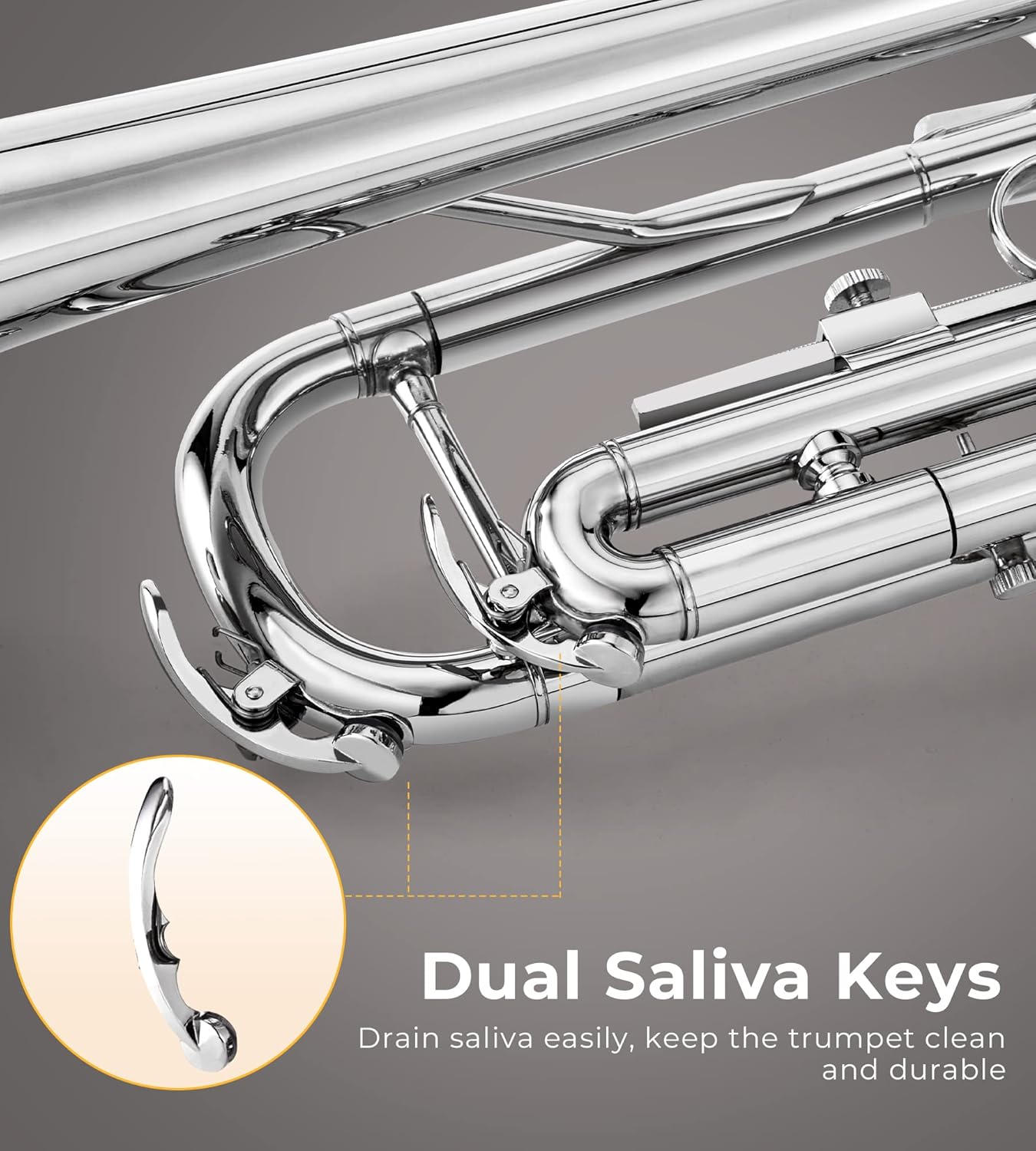 Vangoa Trumpet Bb Standard Student for School Band Brass Orchestra Adult Kid Beginner with Stand, Hard Case, Cleaning Kit, Gloves and 7C Mouthpiece, Silver