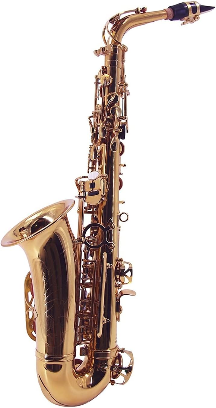 EB Alto Saxophone Sax Brass Lacquered Gold 802 Key Woodwind Instrument with Carrying Case Reed Cleaning Cloth Student Saxophone