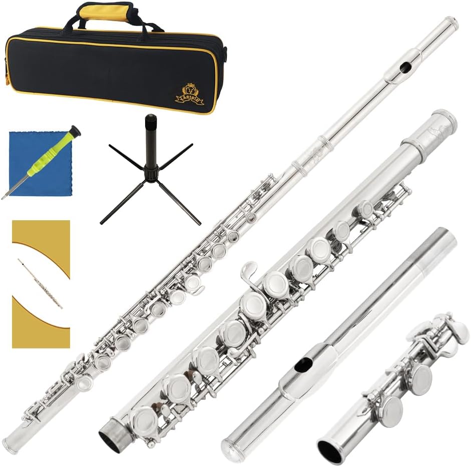 Closed Hole C Flute 16 Keys Instrument for Student Beginners with Cleaning Kit, Stand, Carrying Case, Gloves and Tuning Rod
